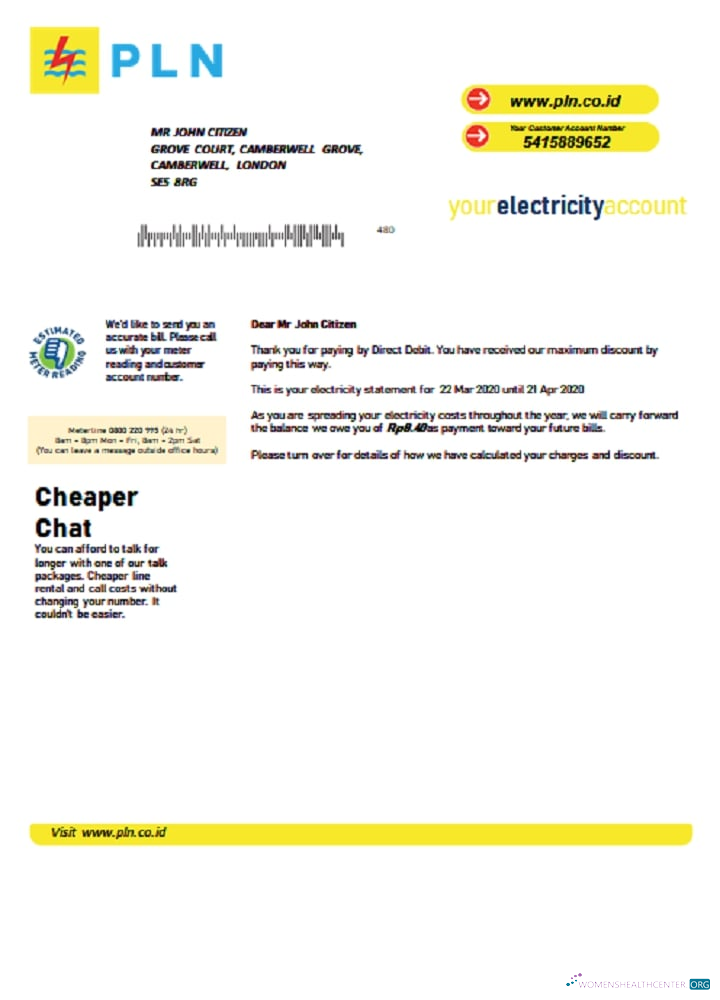 download download Indonesia PLN electricity utility bill template in Word and PDF format PDF template PDF template